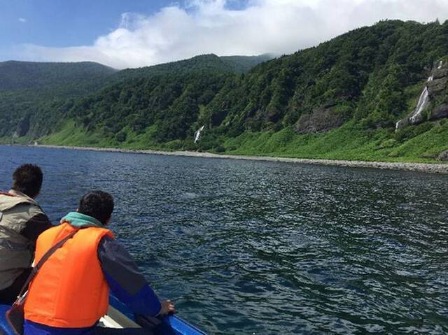 日本北海道世界自然遗产知床发现有点像“熊猫”的棕熊