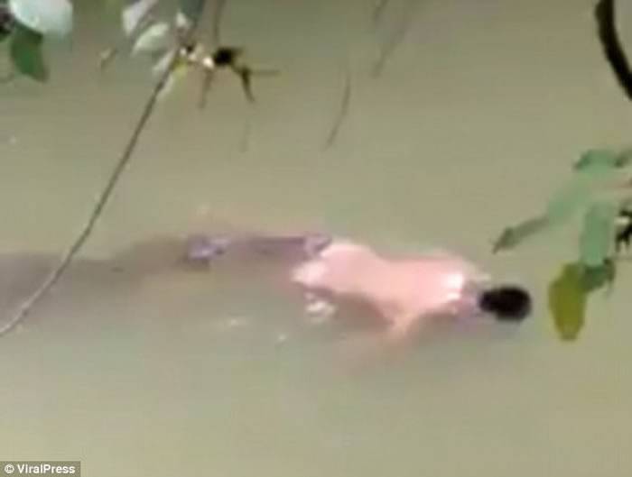 太离奇了！印尼男子河边沐浴遭巨鳄叼走家人求助巫师后鳄鱼竟将尸体送回岸边