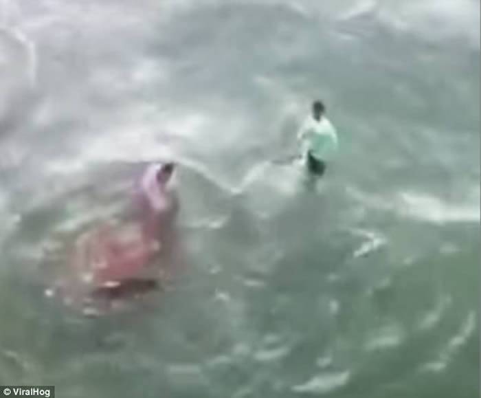 美国北卡罗莱纳州男子在海滩上企图徒手捉住虎鲨反遭噬咬血染大海