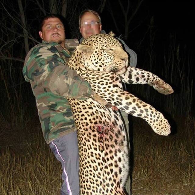 齐尔经常客户到非洲打猎，打死不少非洲豹。