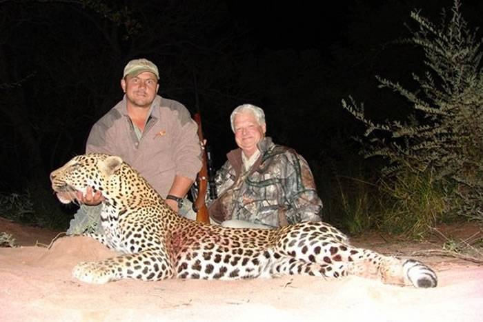 另一头被齐尔打死的非洲豹。