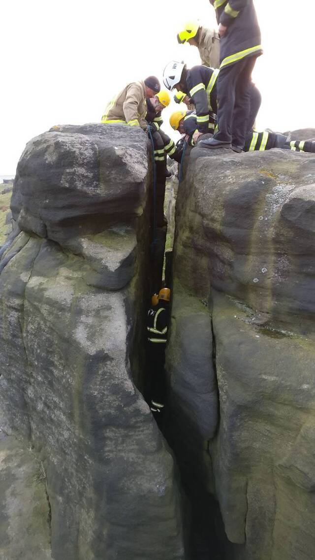 绵羊失足跌落英国托德摩登山区岩壁身上厚羊毛救命