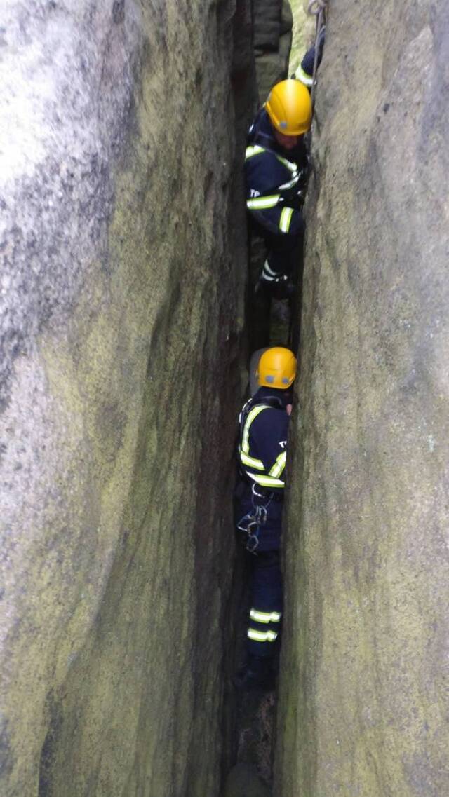 绵羊失足跌落英国托德摩登山区岩壁身上厚羊毛救命