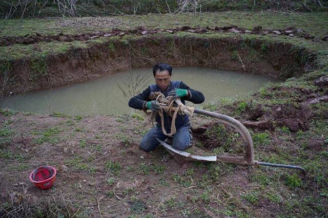 村民在准备耕地的犁。有村民曾看到水牛突然陷落在农田，“好几个男人才把牛拽上来”。新京报首席记者陈杰摄