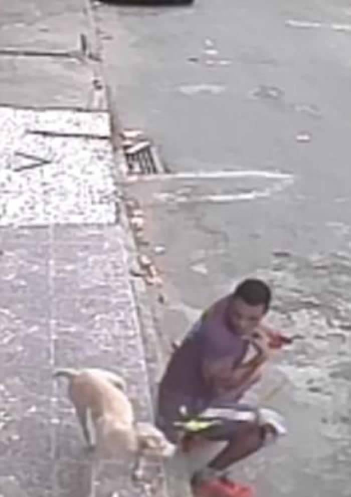 超级搞笑：巴西男子坐在街边玩手机白色流浪狗在其身后抬腿就撒尿