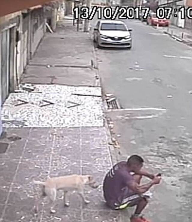 超级搞笑：巴西男子坐在街边玩手机白色流浪狗在其身后抬腿就撒尿