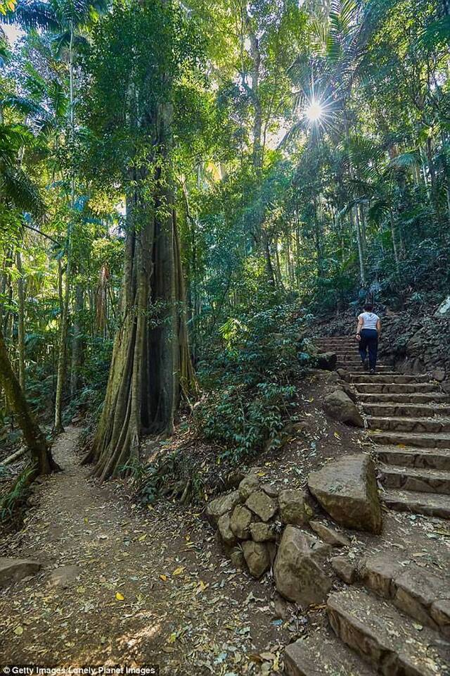 澳洲昆士兰省女子雨后在坦柏林山发现“迷你灰蛇”拍照上传脸书才得知这竟然是巨大蚯蚓