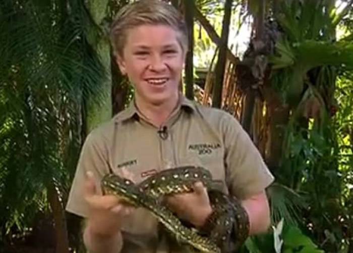 虎父无犬子：澳洲“鳄鱼先生”欧文13岁儿子勇擒蟒蛇