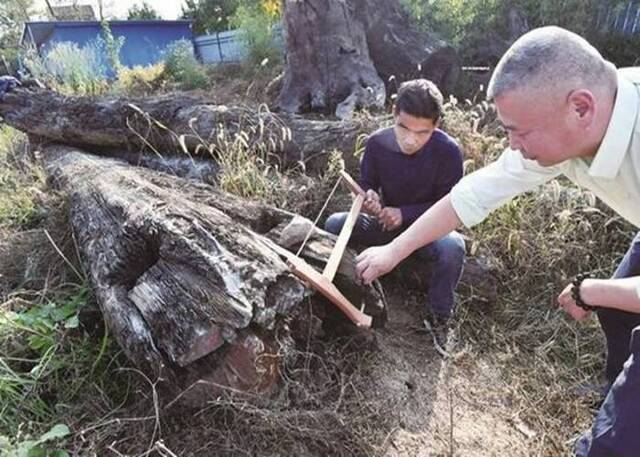 湖北咸宁嘉鱼县男子发现值2千万明代金丝楠木