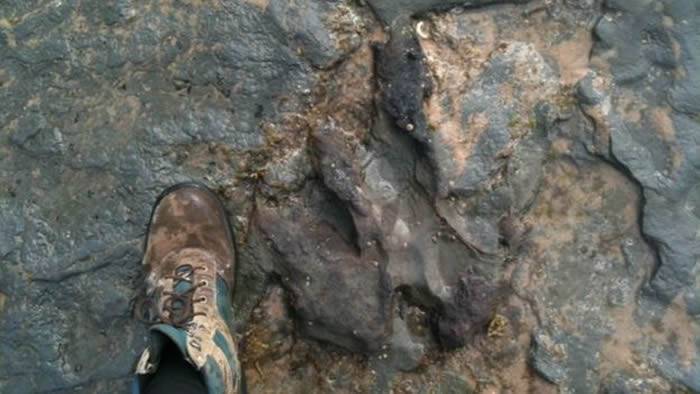 澳大利亚国家公园一亿多年前恐龙足迹化石被人用大锤打碎