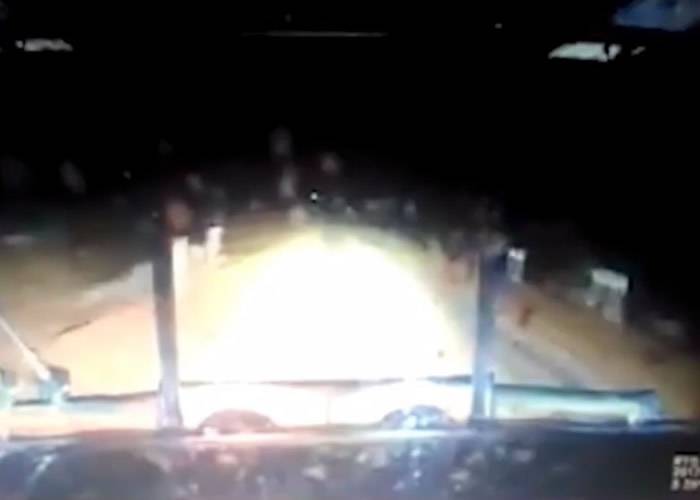 澳大利亚司机涉蓄意撞死袋鼠事后兴奋大笑惹公愤