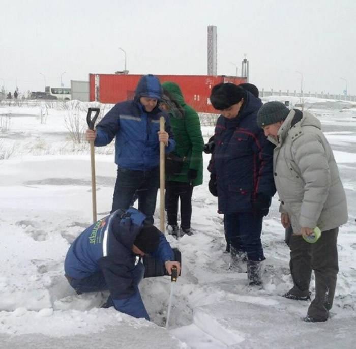 专家收集黑雪样本检测。