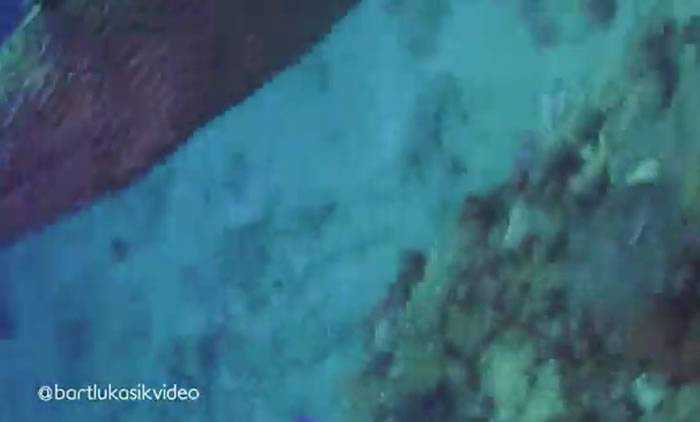 南非索德瓦纳湾波兰年轻人下潜观察珊瑚礁时被两只海鳝发怒袭击