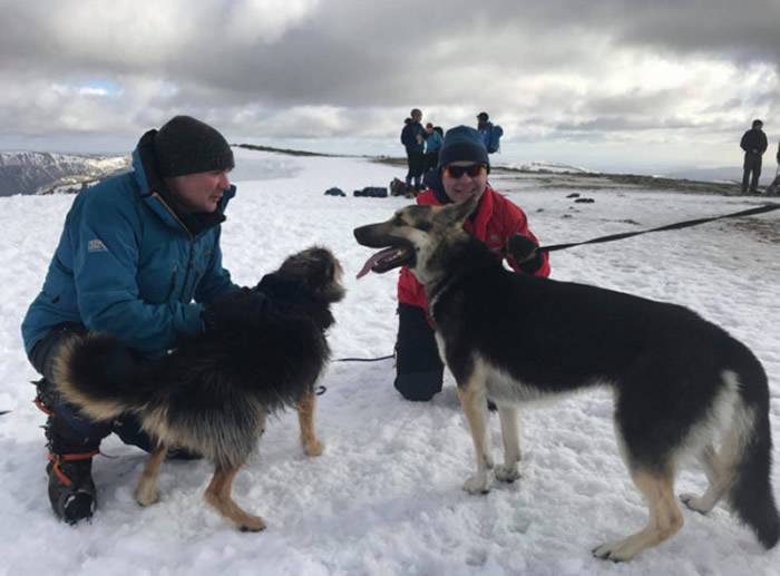 英国登山客斯科特ScottPilling冒险登山，为陌生人找回走失的狗狗。