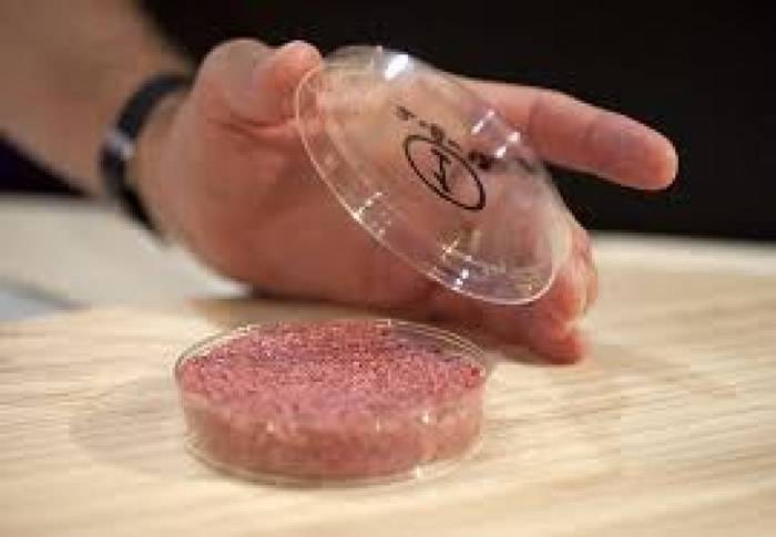 现时已有不少公司研发人造肉。