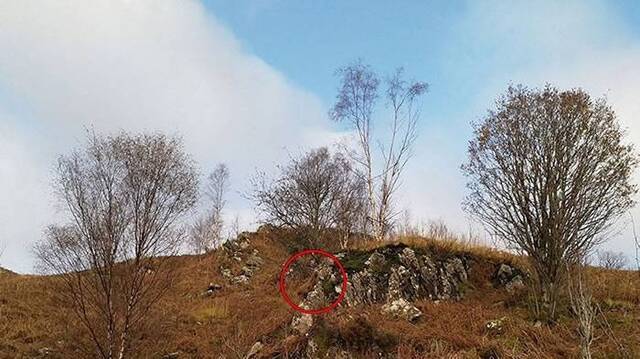 苏格兰男子想拍秋日美景却拍出视错觉图你能找到里面的鹿吗？