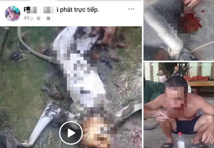 越南河静省5名男子Facebook直播生食猴脑恐囚15年