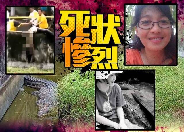 恐怖：印度尼西亚女生物学家DeasyTuwo在喂饲鳄鱼时被吃掉