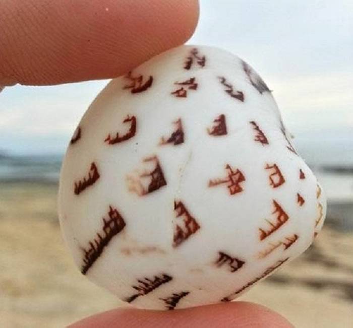 游客在日本海滩发现一块有“外星标志”的石头