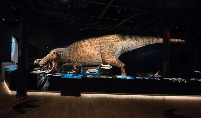 美国自然史博物馆与HTCVIVE首款雷克斯暴龙VR体验《T.rex：SkeletonCrew》