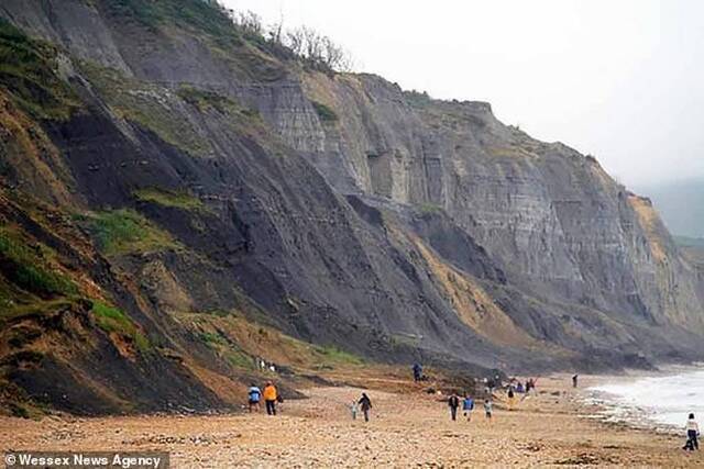 英国8岁考古爱好者在查茅斯海滩散步时发现猛犸象牙齿化石