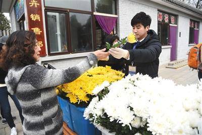 昨日，北京海淀万安公墓，工作人员向参观者赠送鲜花。