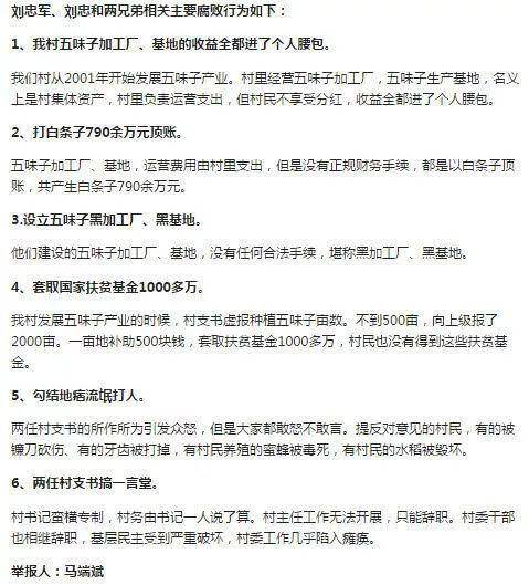 马端斌举报两任村支书的六项具体内容