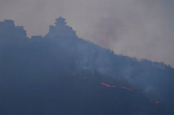 森林火灾现场本文图片均由北京青年报记者郭谦摄