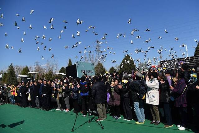 祭扫思故人殡葬树新风北京举行生态葬清明公祭