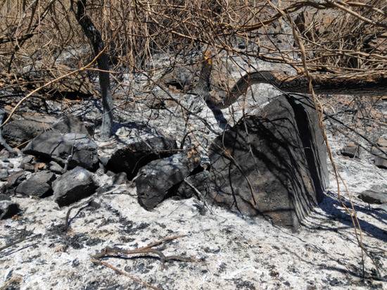 北京山火6名涉案者被抓村民称数百棵果树被烧