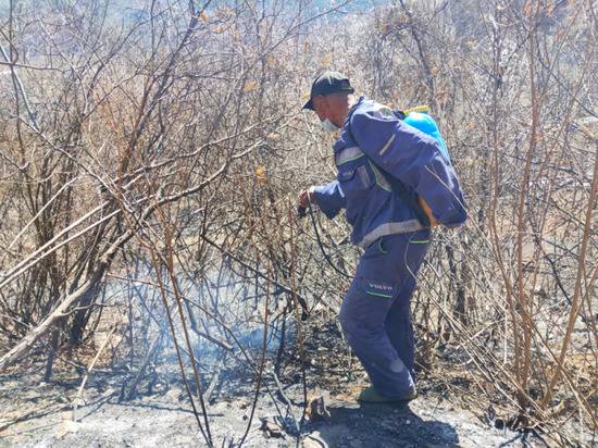 一名上山打药的村民称，自己承包地里的四五百棵栗子树被烧
