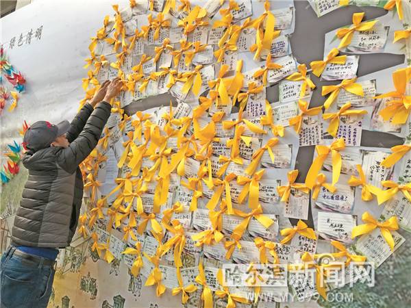 哈市11万人次外出祭扫 文明低碳成风尚