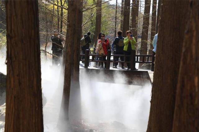 北京植物园“网红”景点亮相，邀你“雾里看花”