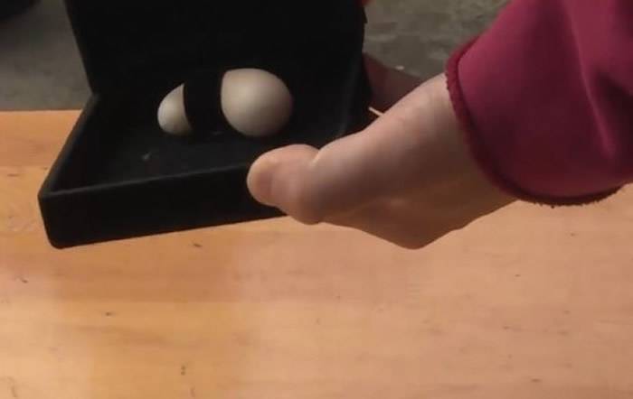 觉得造型十分罕见，刘大姐随后将蛋收进首饰盒中。
