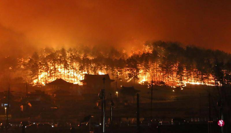 韩国东部山火蔓延，东海市一处现场火光冲天。（韩联社）
