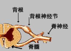 图片来源网络