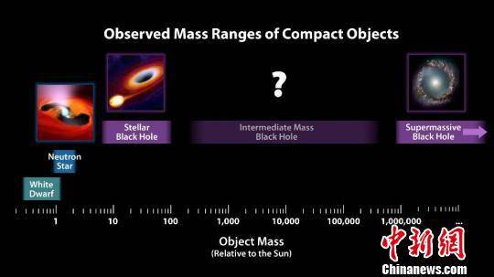 致密天体根据质量的分类。（图片来源：NASA） NASA摄