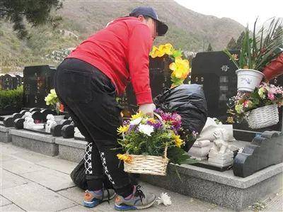  4月5日下午，德陵公墓，一女子将墓碑旁的花束收走。新京报实习生陈婉婷摄