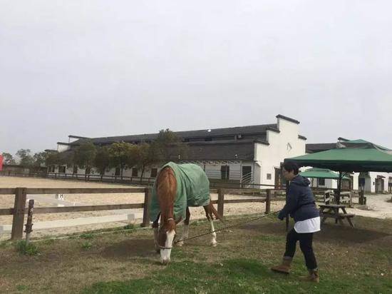 这位在沪日本籍马主，就爱与马相处，一起合影。