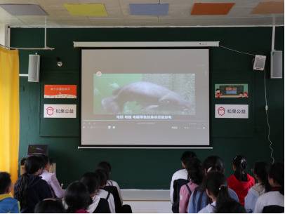 晓坝镇学校观看松果公益科学课程