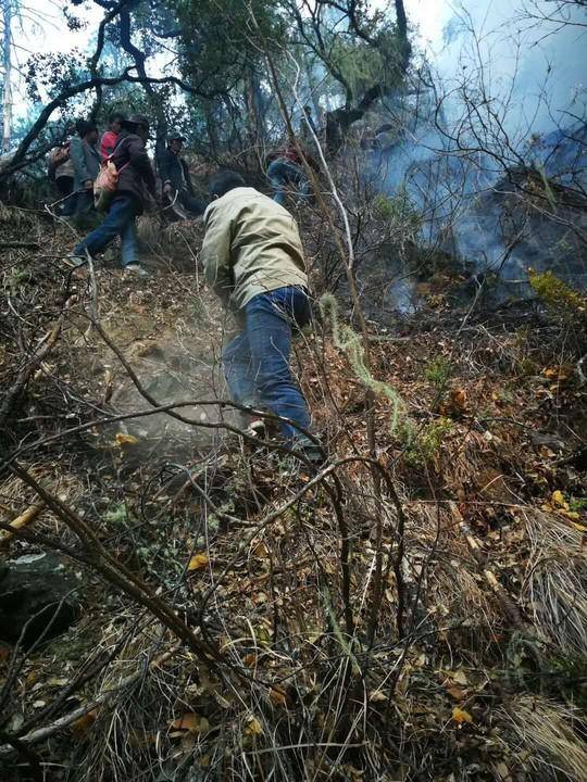 上图：4月8日，木里森林火灾现场，木里县村民扑火队正在扑火。