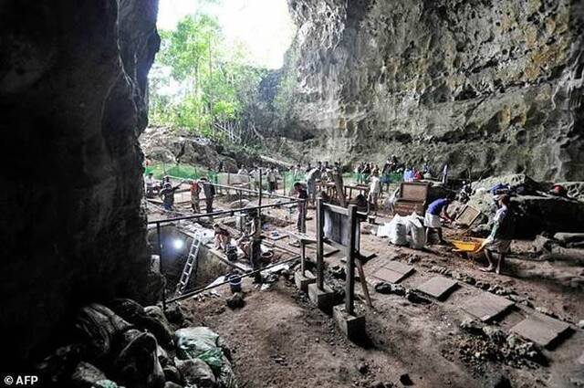 菲律宾吕宋岛卡劳洞穴发现数万年前全新人种“吕宋人”（Homoluzonensis）化石