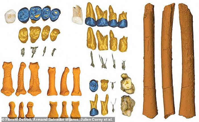 菲律宾吕宋岛卡劳洞穴发现数万年前全新人种“吕宋人”（Homoluzonensis）化石