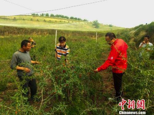 资料图：基层干部调研。周沛龙摄