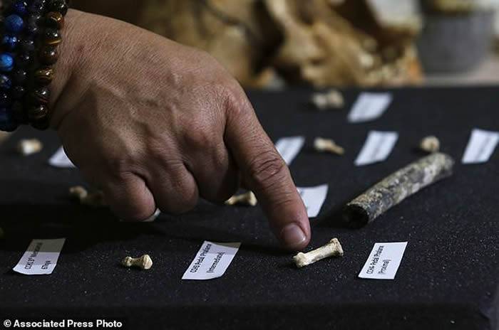 菲律宾吕宋岛发现全新古人类物种“吕宋人”（Homoluzonensis）