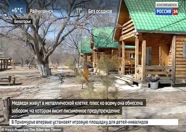 俄罗斯女子参观私人动物园进入围栏内喂食棕熊左手被啃断