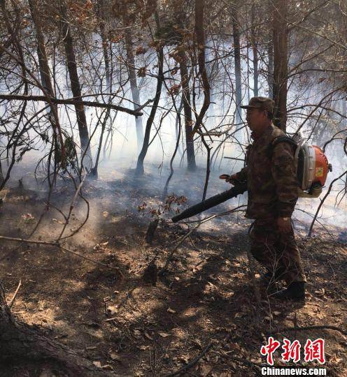 黑龙江佳木斯发生森林火灾。救援人员提供