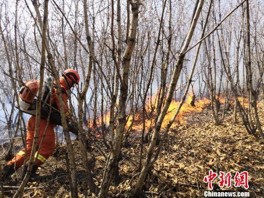 黑龙江佳木斯发生森林火灾。图为森林消防队员进行现场扑救。救援人员提供