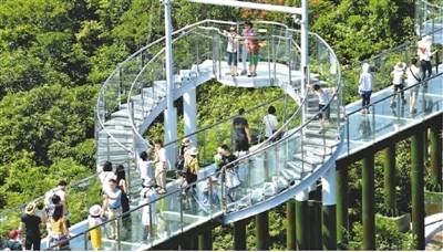 海南三亚亚龙湾热带天堂森林旅游区的全海景玻璃栈道备受游客热棒，成“网红打卡地”。来源：中新网