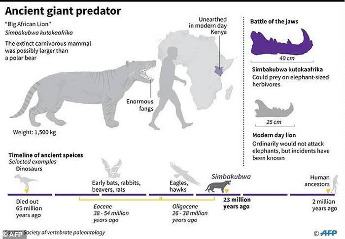 可能是史上最大的肉食哺乳类动物：肯尼亚发现2300万年前巨型狮子